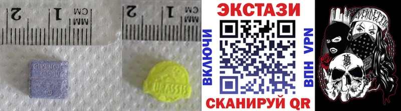 где можно купить   Елизово  Ecstasy Cube 