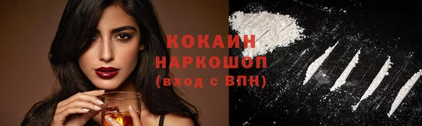 шишки Семилуки